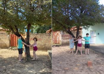 Família protege árvore de 70 anos que deve ser cortada pela Prefeitura de Lagoa do Piauí